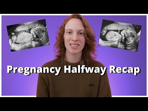 20 Week Pregnancy Update & Ultrasound - Pregnant Trans Man