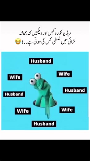 Creator Search Insights