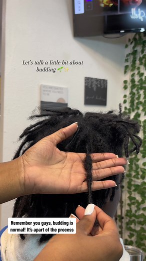 Understanding Budding in the Loc Journey