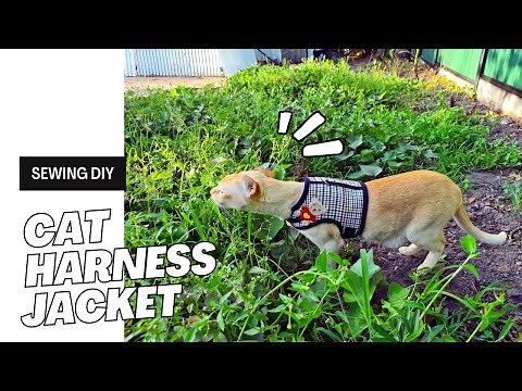 sewing DIY Cat Harness Jacket (free pattern)