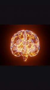 易 FREE NEURO-LINGUISTIC PROGRAMMING CERTIFICATION 易 (Worth $5,623) If...