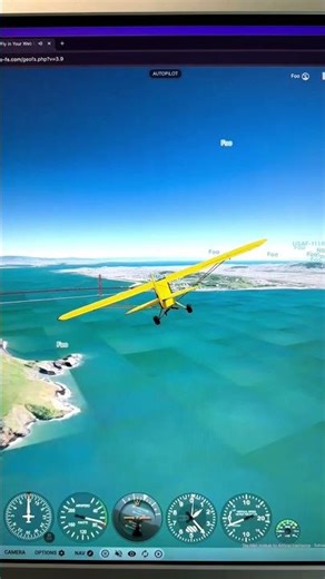 Fly Any Plane on Real Map! 😳✈️ Online Plane Simulator Website 🔥 #shorts