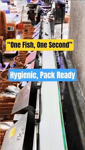 Smart Fish Sorter: Precision Ejectors, Hands-Free Wow! 🔥