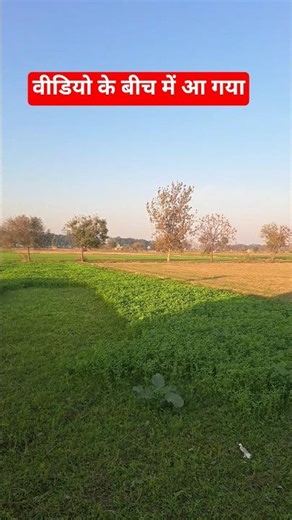 success #hindisong #bollywood #music #trending #funny #shorts #shortvideo #vlog #love #lovesong