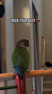 Pretty step | Majane Nabal Lagards