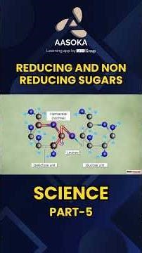 Reducing and Non Reducing Sugars Part 5 | Class 12 | CBSE | NCERT | AASOKA #Shorts