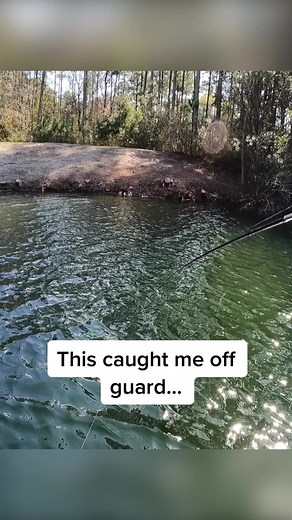 FletcherTheFisherman on TikTok