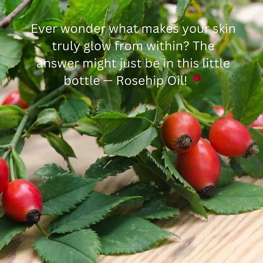 Is Rosehip Oil the Secret to Radiant Skin? 🌹 #rosehipoil#At first