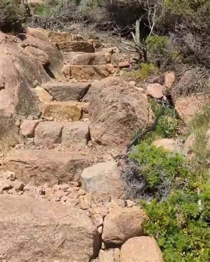 Cape to Cape Explorer Tours on Instagram: "What a delightful walk with Joyful Joey from Hong Kong, a food and travel YouTuber who joined us for a guided day on the Cape to Cape Track and a taste of WA’s Southwest. She was loving being back in Australia, soaking up those blue skies and extra-blue waters 💙 We were treated to a carpet python gliding across the granite — a first for Joey! Then it was a refreshing dip in a natural rock pool and a wander at Canal Rocks to round out a spectacular morn