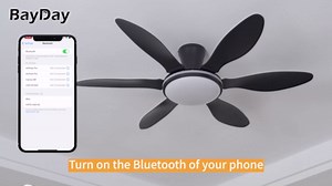 BayDay Ceiling Fans with Lights, Flush Mount Ceiling Fan Led Lights Quiet DC Dimmable 6 Blades (Black Fan, Led Light + Side RGB Light, 51 inch)