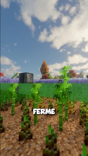 La MEILLEURE FERME à Bambou et Canne à sucre de Minecraft!? #minecraft #mc #tutorial #build #farming