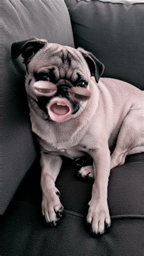 1 de janeiro de 2026