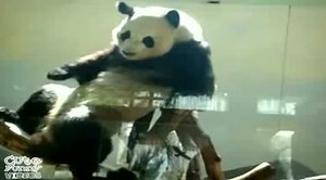 Hip-Hop Panda