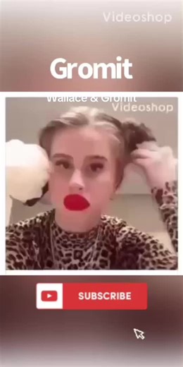 Wallace & Gromit