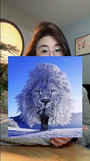 Choose One: Tree, Snow, or Lion? This Test Reveals Your TRUE Life Path 🤫