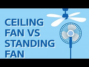 Ceiling Fan vs Standing Fan – Which One To Choose [REVIEW]