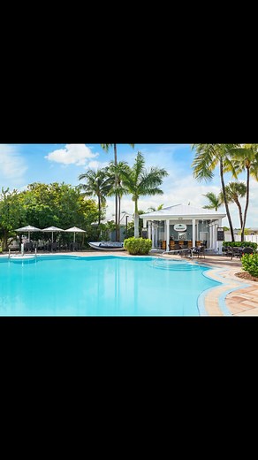 🦩Blue Flamingo Resort Key West🦩 #springbreak #vacation #adventuroustravelswithmeredith #keywestvacation #florida | Adventurous Travels with Meredith