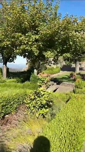 Exploring Historic Gardens, Marvão Castle, Portugal, Europamundo from Tunmise B. 🇵🇹