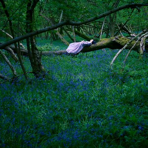 Ichiko Aoba Concert & Tour History (Updated for 2026) | Concert Archives