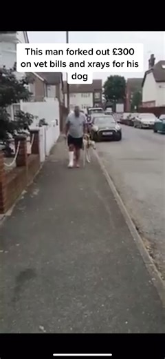 Funny Dog Imitates Limping Owner in Hilarious Video