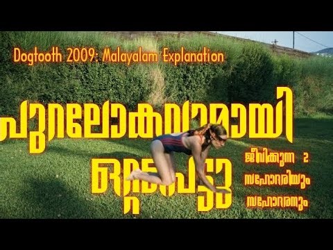 “പുറലോകവുമായി ബന്ധമില്ലാതെ വളർന്ന 2 സഹോദരിമാരും 1 സഹോദരനും | Dogtooth Movie Explained Malayalam”