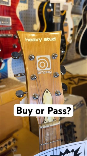 Buy or Pass? Ampeg “Heavy Stud” guitar! #ampeg #heavystud #guitar #guitarist #guitartok #fyp