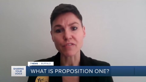 What's New York's Prop 1? Here's what to know before going to the polls