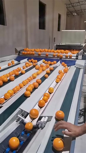 Automatic Machines in the Packaging Industry