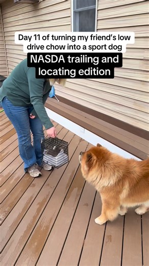 Pawsitive Pups Academy on Reels