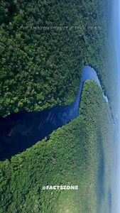 Mysterious Amazon Forest 😮 #sciencefacts #amazonforest #science #facts #amazingfacts #foryou #fypage #viralreels #viralpage #viralreelsfb #viralreelsfbpage #viralvideochallenge #viralcontent #viralshort #facts #dailyfacts #dailyknowledge #interestingfacts #mysterious #waheguruji🙏🏻 | FACTS ZONE