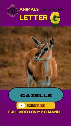 ✨ Letter G Animals- Gibbon and Gazelle