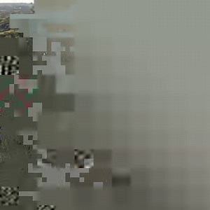 Normandy American Cemetery was established by the U.S. First Army on June 8, 1944, as the first American cemetery on European soil in World War II. On average, how many people visit Normandy American Cemetery each year? A) 250,000 - 500,000 B) 500,000 - 750,000 C) 750,000 - 1 million D) More than 1 million Cast your vote in the comments! #Trivia #WWII #WW2 #DDay80 #USABMC | American Battle Monuments Commission