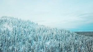 Ooni Karu is LIVE NOW! You can also grab our new Ooni Karu cover - live today. If you didn’t get the chance to get involved on Kickstarter and Indiegogo, head over to our website and order yours now: http://bit.ly/2R8QgnI 🔥 | Ooni