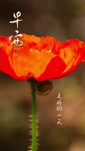 Vmint集成型NFT发行与交易平台为全球用户和项目团队提供安全、高效且便捷的链上资产发行与交易服务。用户手册现已准备就绪。详情https://vcity.app/news