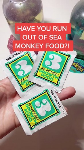 How to Take Care of Sea Monkeys: Feeding Tips and More!