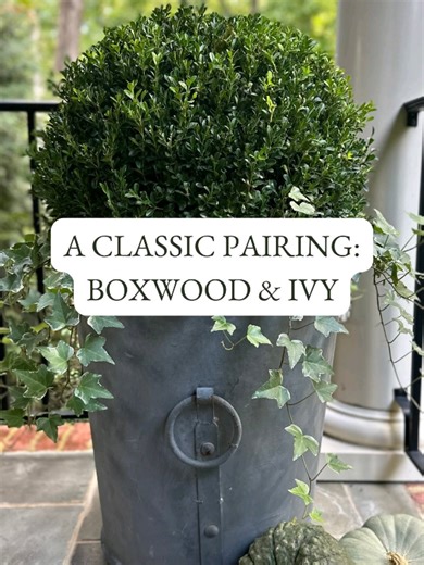 Transform Your Garden with Metal Planters