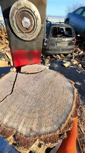 Splitting Firewood with Axe! Efficient & Effortless Wood Chopping #ToolTips #WoodProcessing