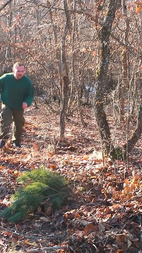 It's important to know these forest survival hacks! 🪝 | 5-Minute Recycle