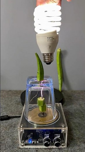 Lightning Power #experiment #teslacoil #shorts