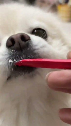 Every time you eat it s like opening multiple times. You will make people misunderstan