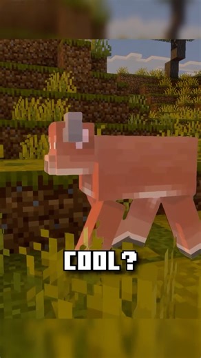 Fixing Acacia Trees with Command Blocks | #minecraft #commandblock #shorts