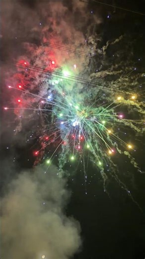 Bunter Hund by Röder Fireworks 🎇🔥