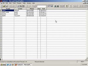 Learn Visual FoxPro @ garfieldhudson.com - Basic Reporting - Pt. 1 (Lesson 21 of 30)