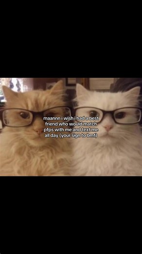 Finding Friends to Match Profile Pictures Together