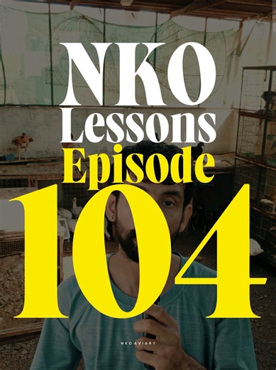 NKO LESSONS | EP: 104 | NO QUARANTINE