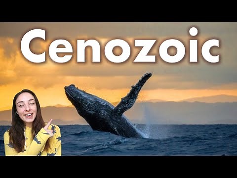 Cenozoic Era- Geologic & Biological Events, Including Primate Evolution | GEO GIRL