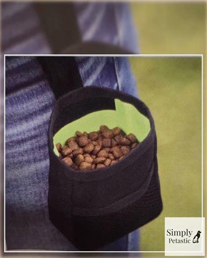 Clip On Treat Holding Pouch For Hands Free Dog Training