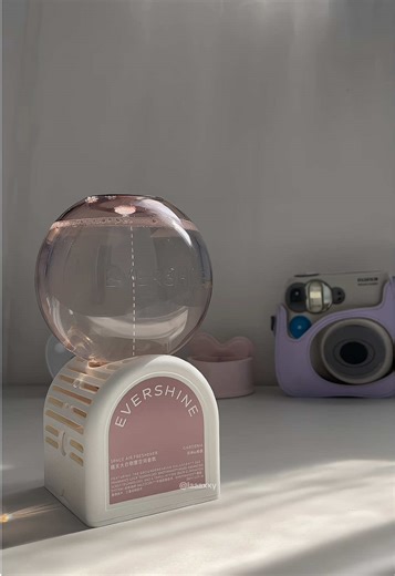 Enhance Your Space with an Air Freshener