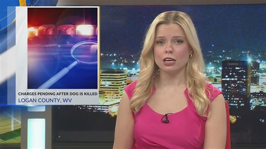 Charges pending after dog beaten, killed in Logan County