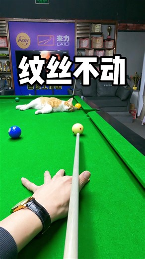 Billiards Tutorial Featuring a Motionless Cat